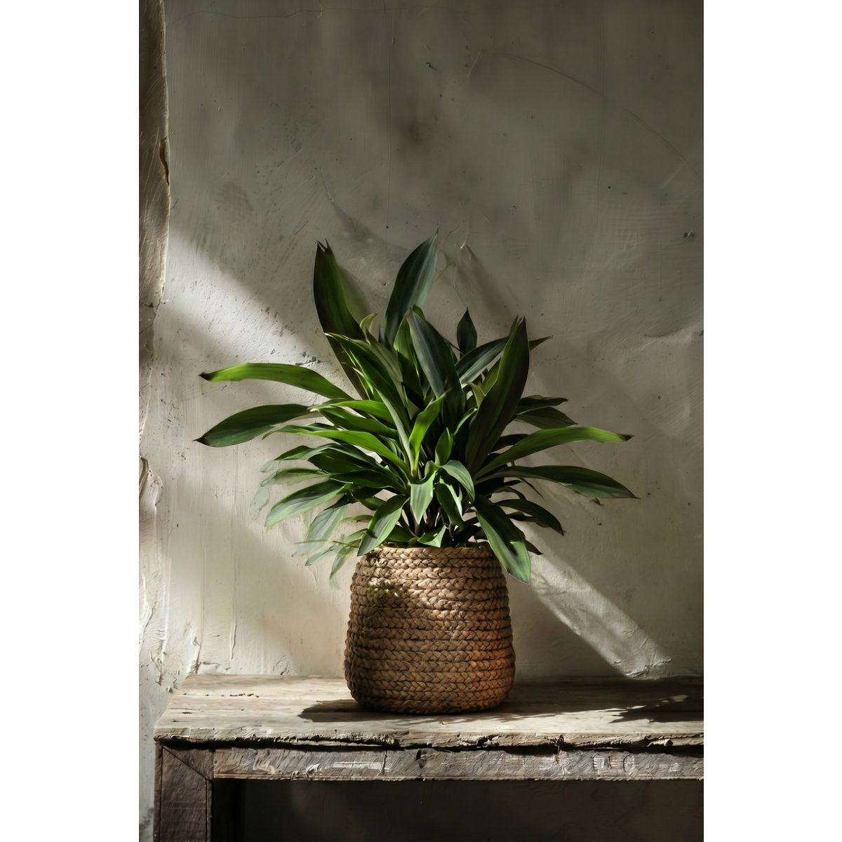 The Fake Braided Planter - Natural - L