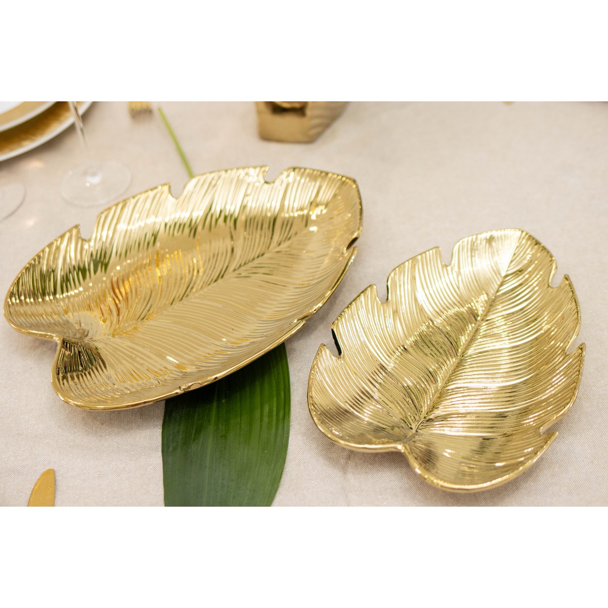 Golden cup Tropical sheet 25.5x18.5x3.5cm