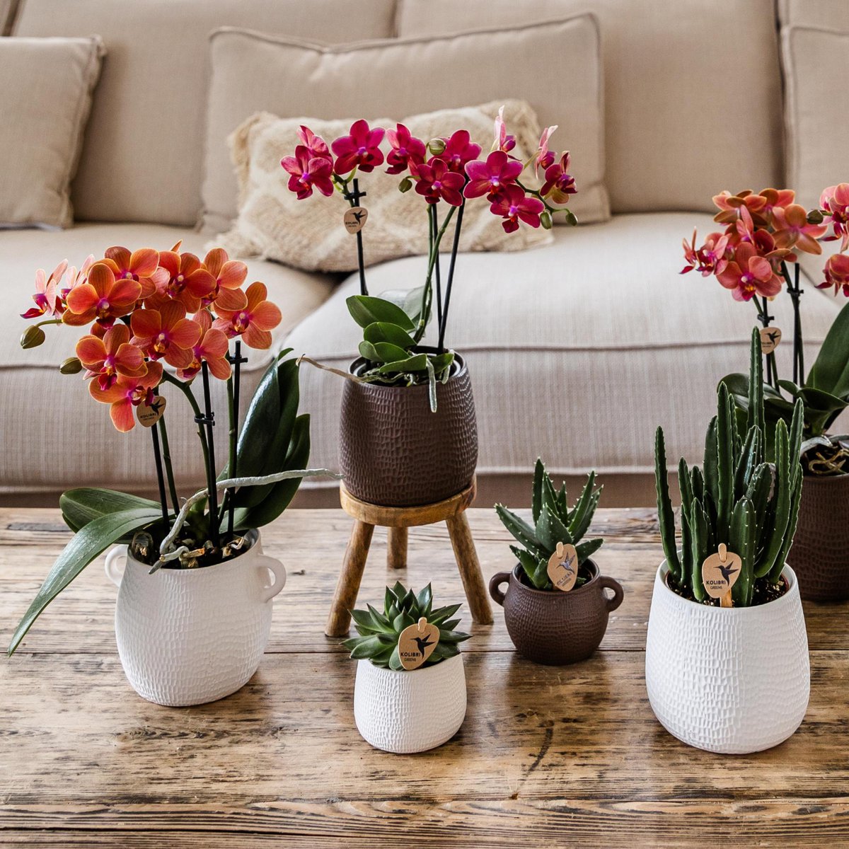 Hummingbird Home | Plant stand - Wooden plant raiser Ø12cm