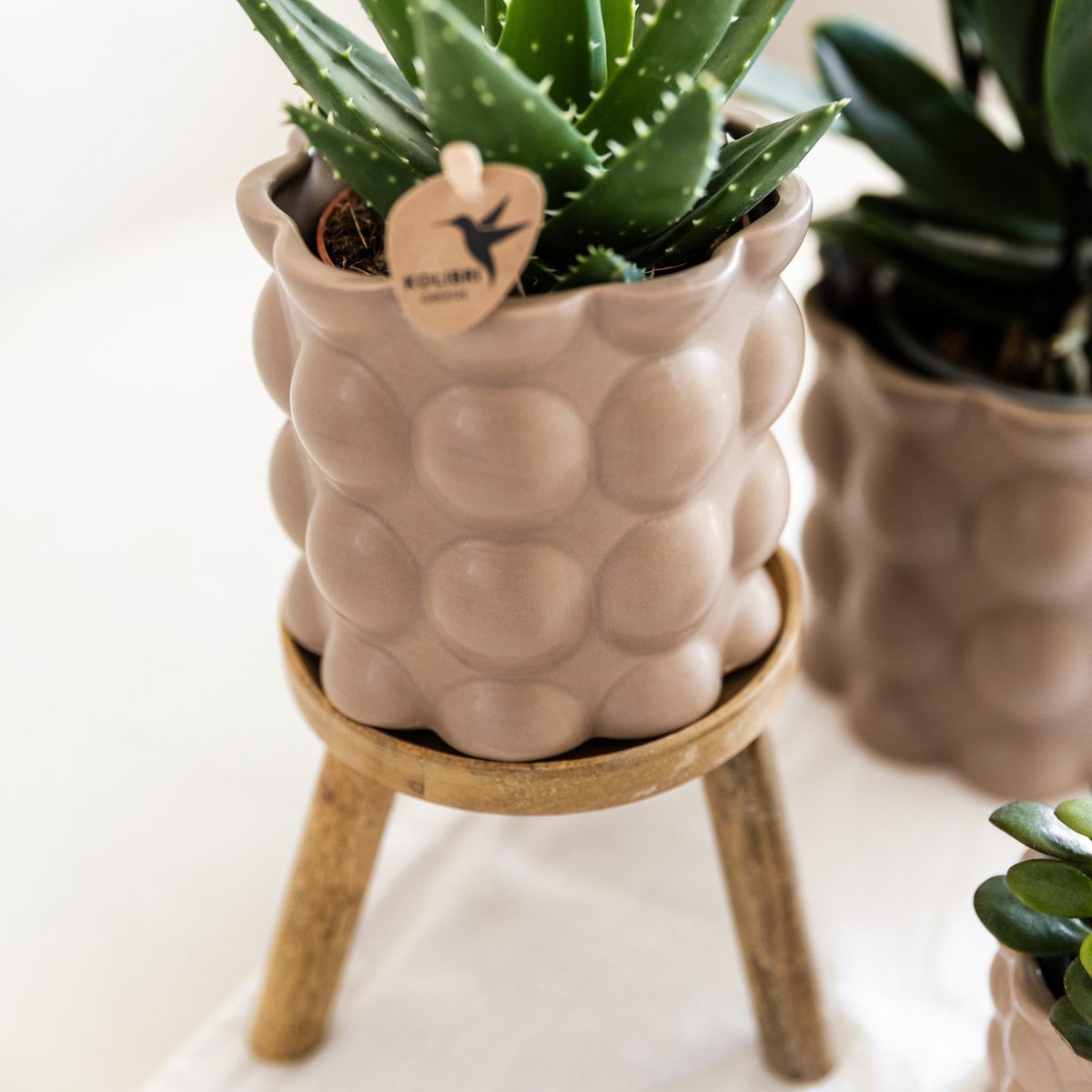 Hummingbird Home | Plant stand - Wooden plant raiser Ø12cm