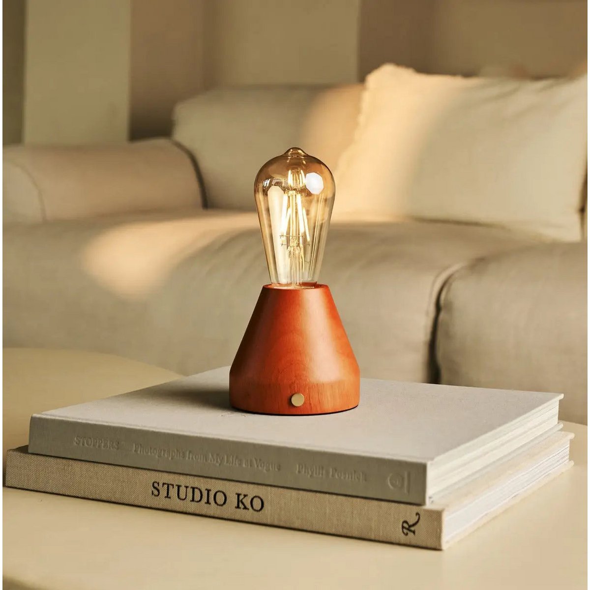Zavi Chestnut Brown Rechargeable Table Lamp