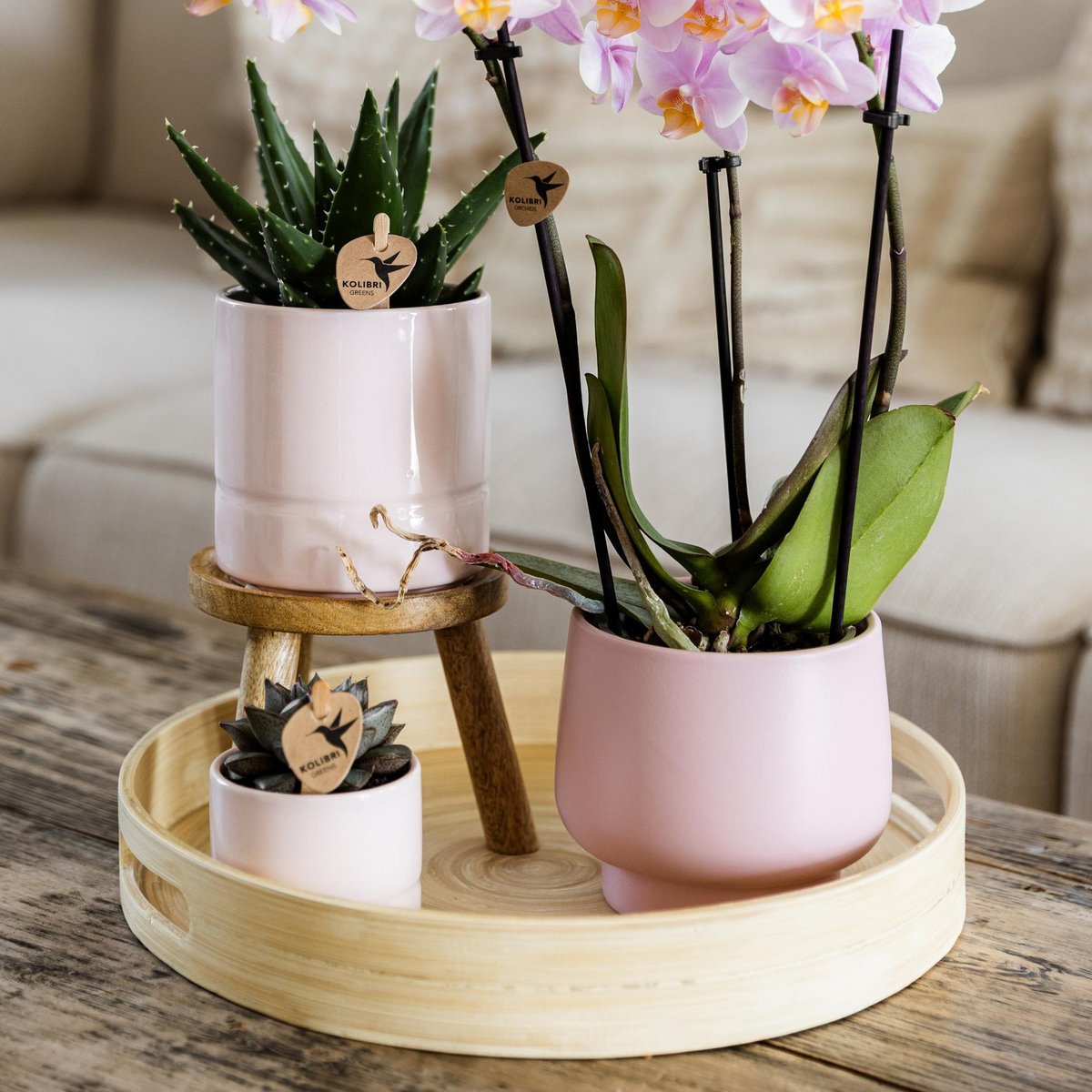 Hummingbird Home | Plant stand - Wooden plant raiser Ø12cm