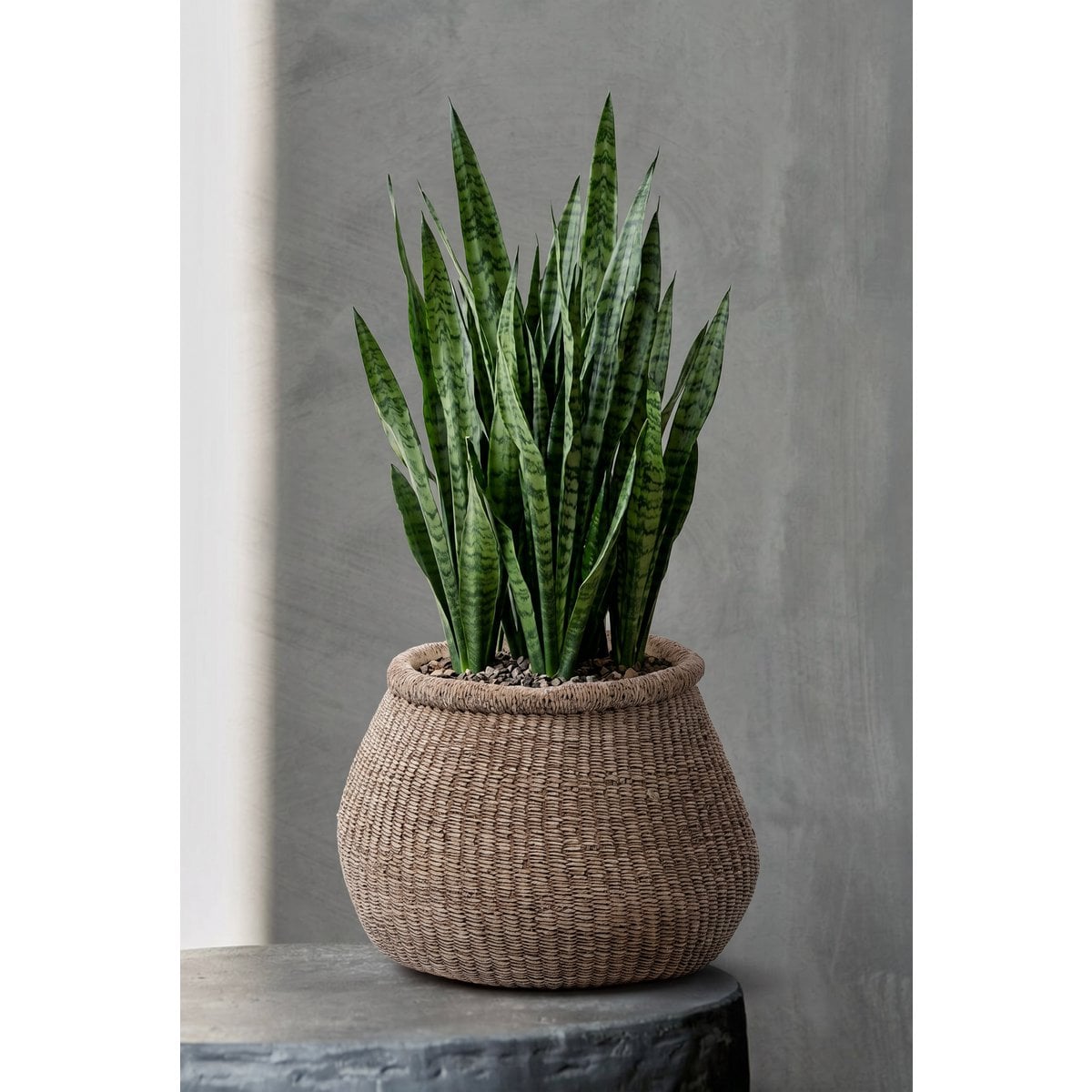 The Faux-Puff Planter - Brown - L