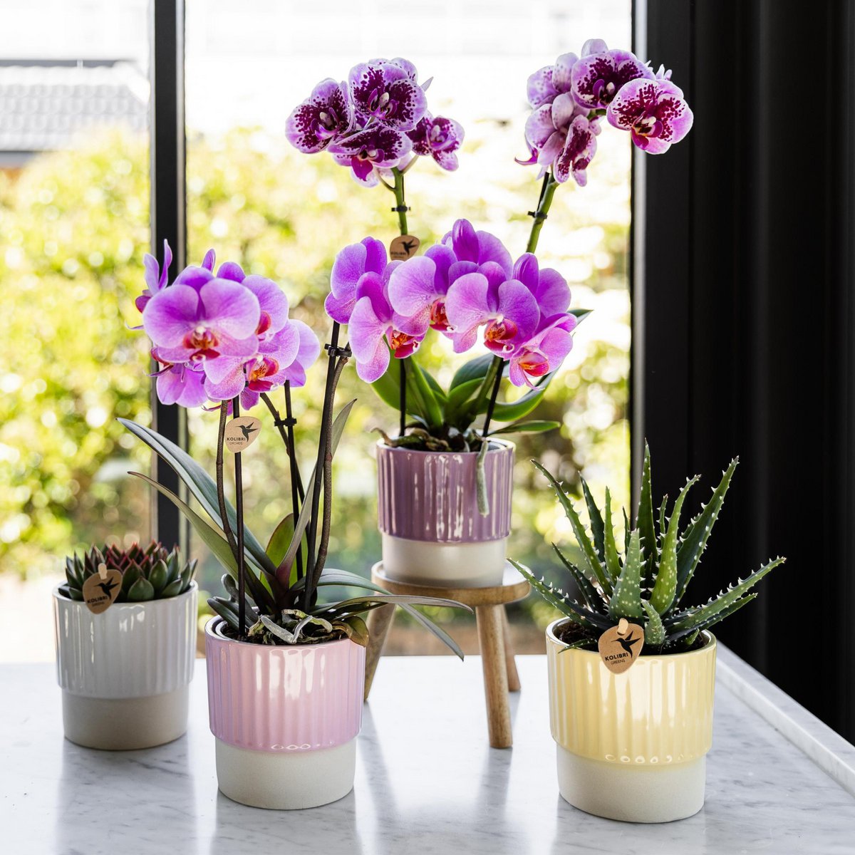 Hummingbird Home | Plant stand - Wooden plant raiser Ø12cm