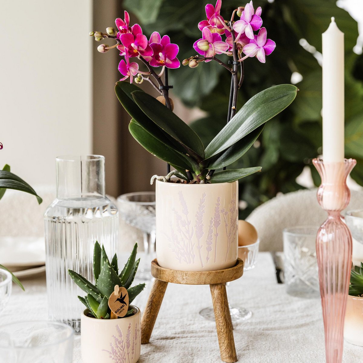 Hummingbird Home | Plant stand - Wooden plant raiser Ø12cm