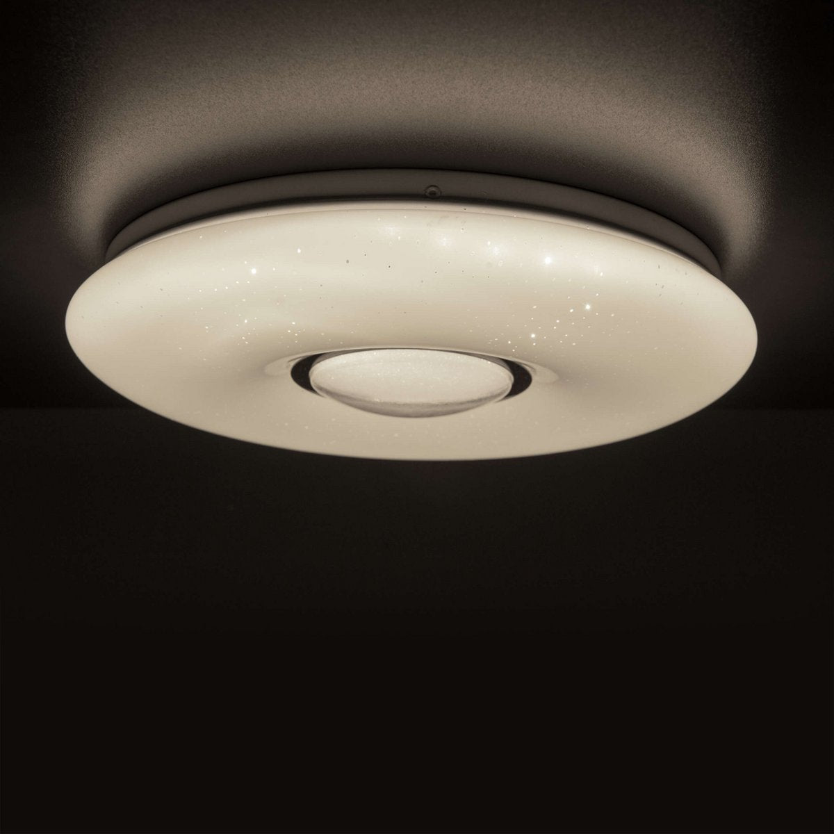 LED ceiling light D. approx. 50cm "Picton"