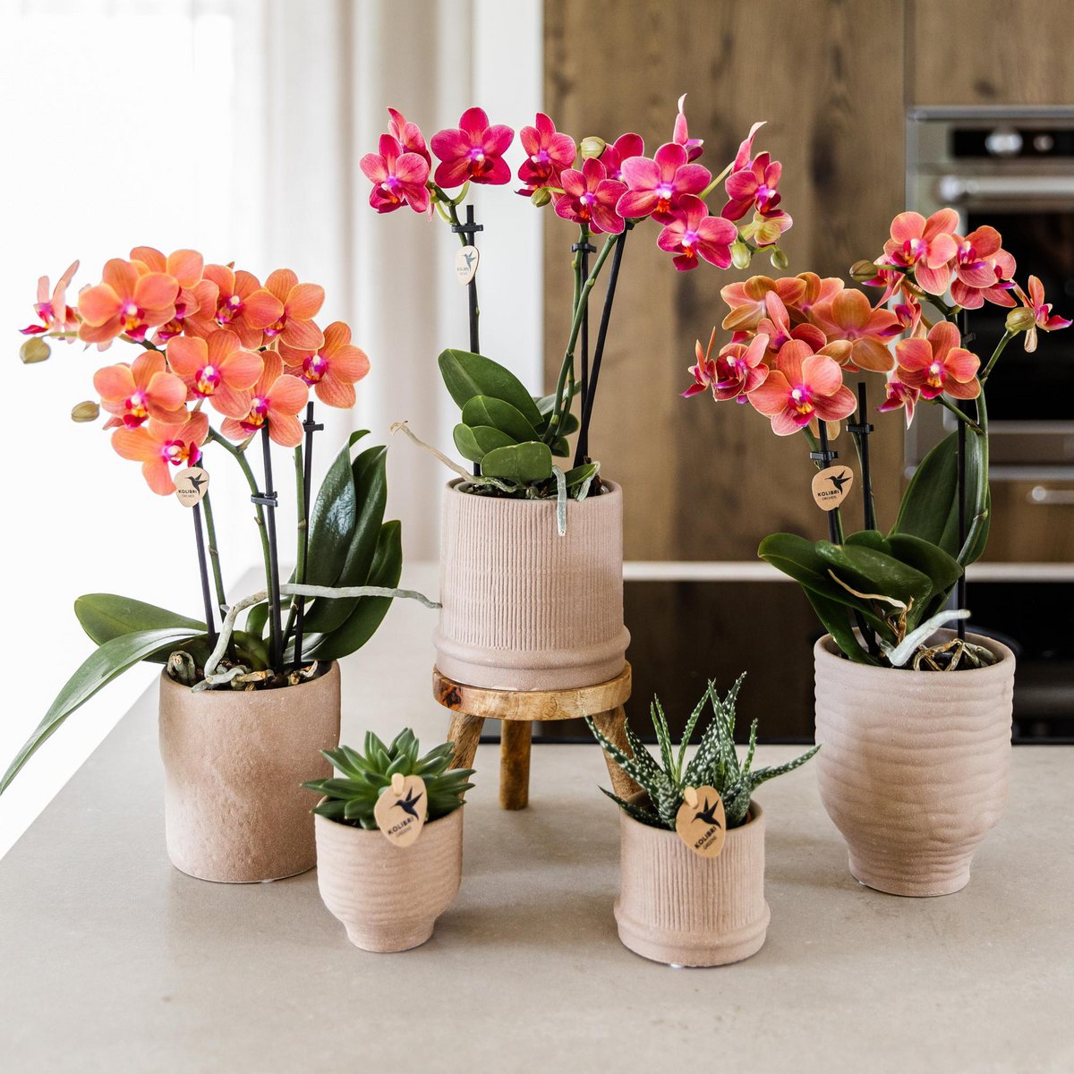 Hummingbird Home | Plant stand - Wooden plant raiser Ø12cm